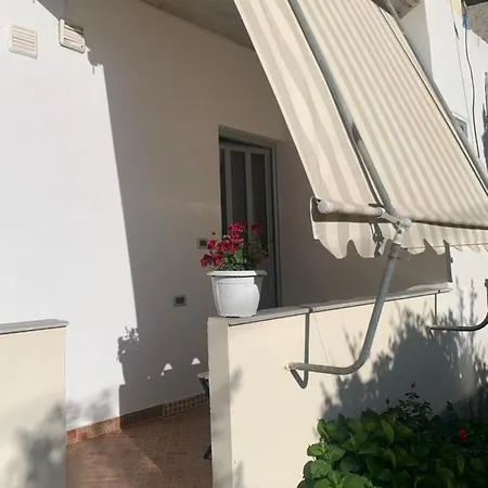 Mario كساميل