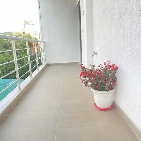 게스트하우스 Mario 3*